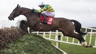 Jumps racehorse Anibale Fly